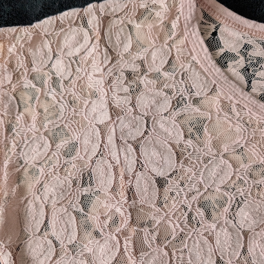 Lace Feminine Blush Pink Sheer Crop Top Coquette Fairy Romantic Kawaii Sz Small - Picture 5 of 14